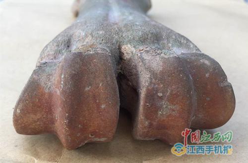 黄色收费网站