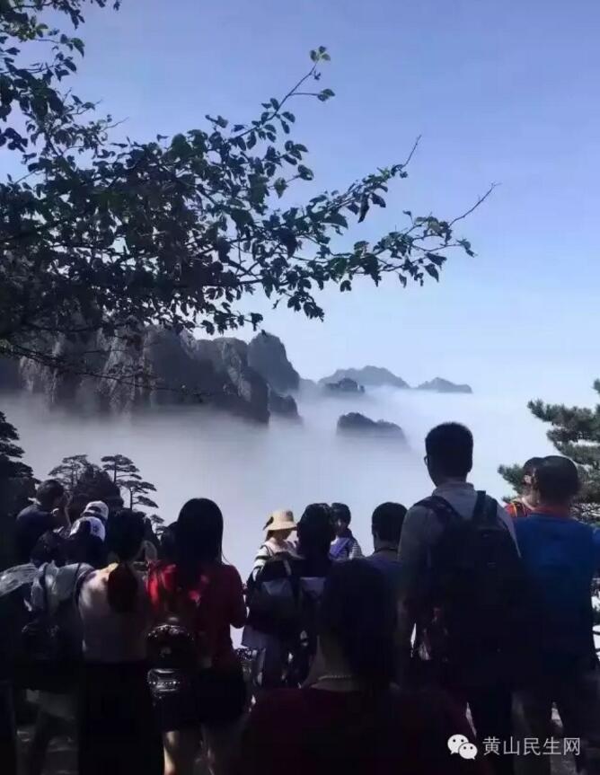 亚洲精品口爆在线观看