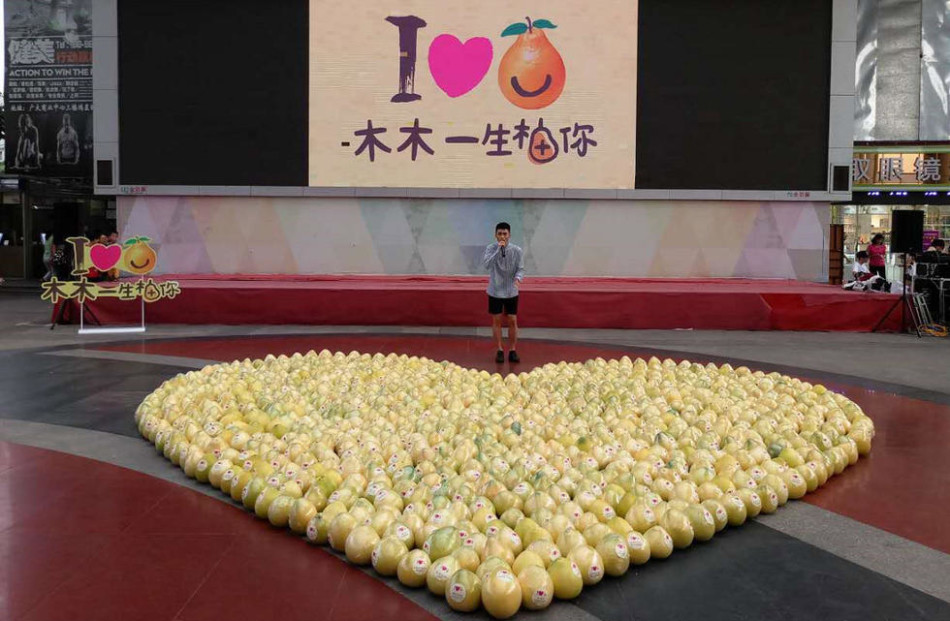 太九ti9最新