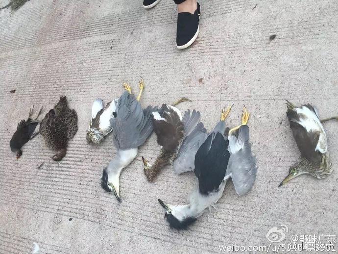 色护士影院