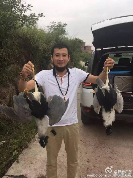 、黄色夫妻一级片