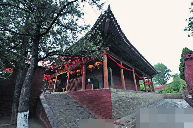 天天干干