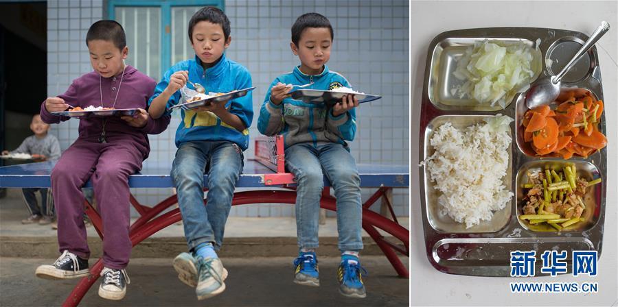正宗的黄色视频免费观看