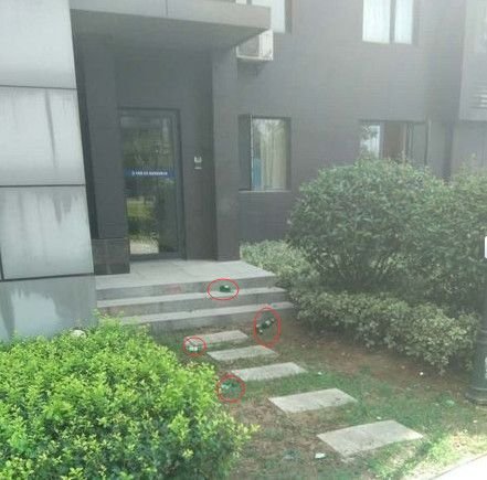 一区二区三区国产