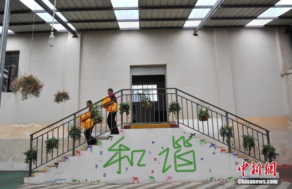 中文 成人 影视