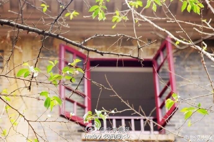 乱码无码刘亦菲性爱视频