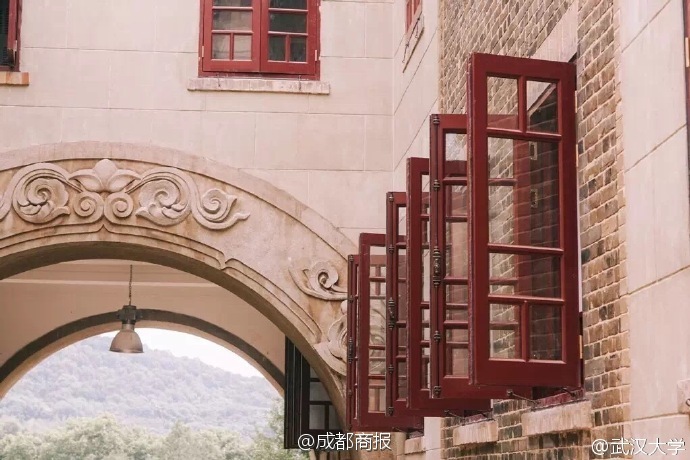 無毛