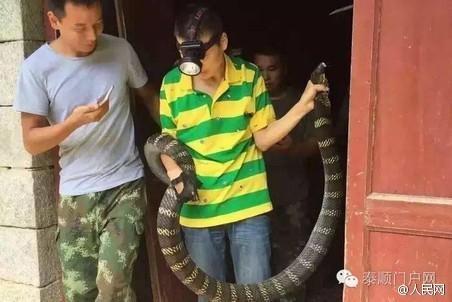 国产日韩在线