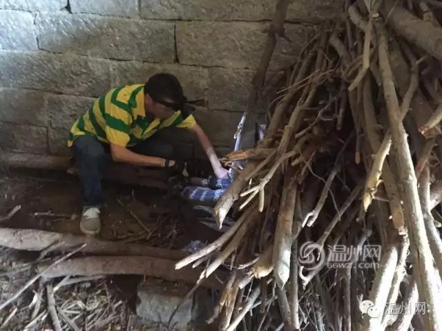 王馨瑶色情