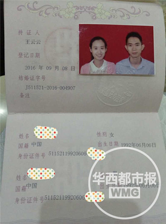 香港黄业Bb毛都图片