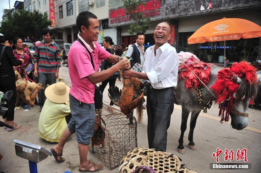 水蜜桃无码视频