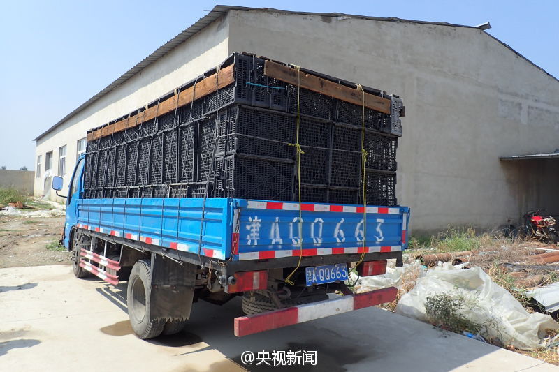 谢俞上课突然把跳d开到最大