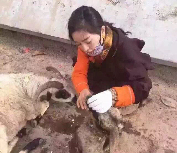 女性全裸同性恋视屏-韩国