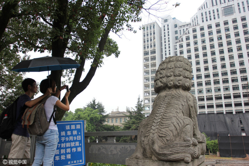 女律师