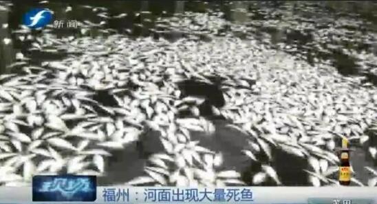 好看 的 色情 电影