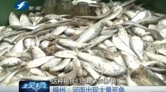 成人一区二区三区