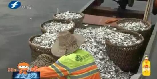 欧美变态口味残虐重另类在线