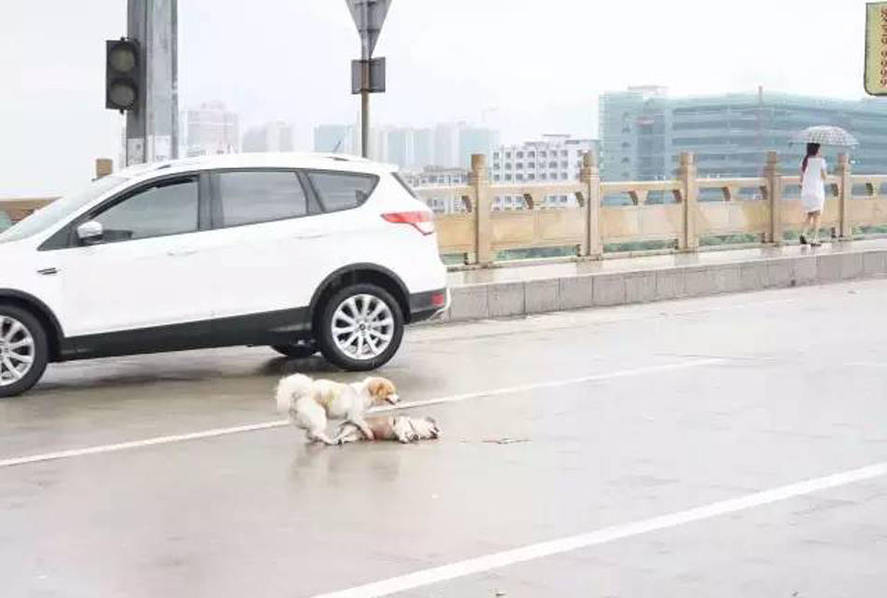 搜索胖女人黄色淫秽录像