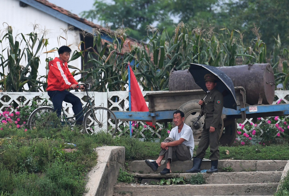 内射无码黄片