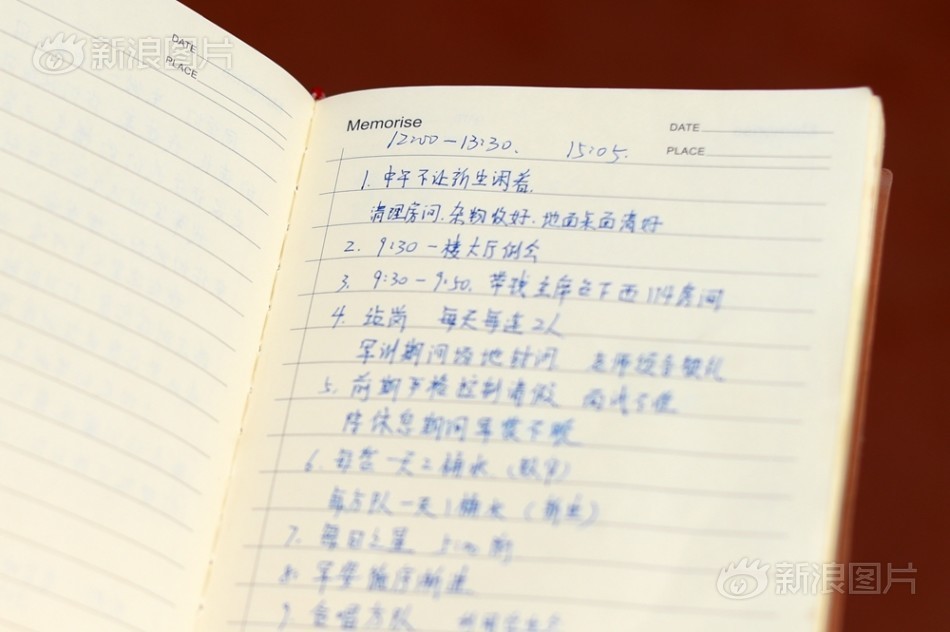 张柏芝黑森林毛茸茸