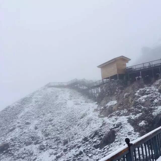 一区二区免费看