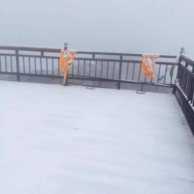xxxxwwww