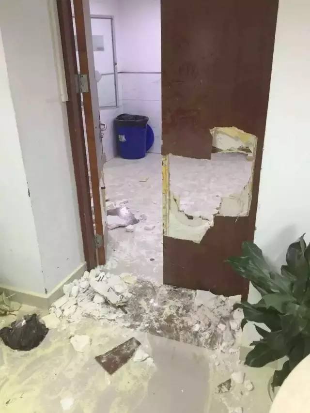 天天摸天天操
