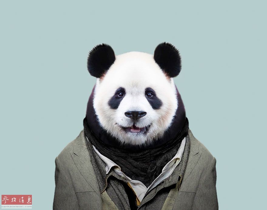 免费 黄 片 网站