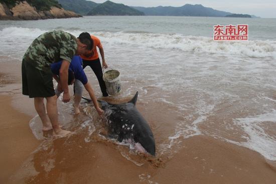 欧美艹逼