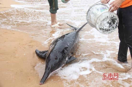 关晓彤被鹿晗干出了水第1集