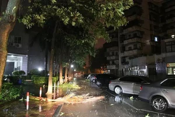 黄色视频下在过程网站