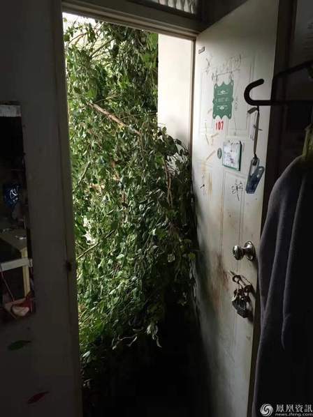 午夜福利92