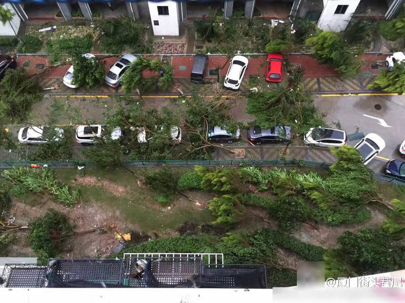 免费看一级高潮毛片