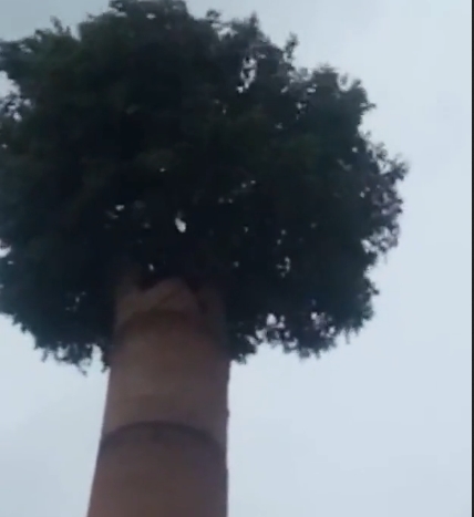 老师家访