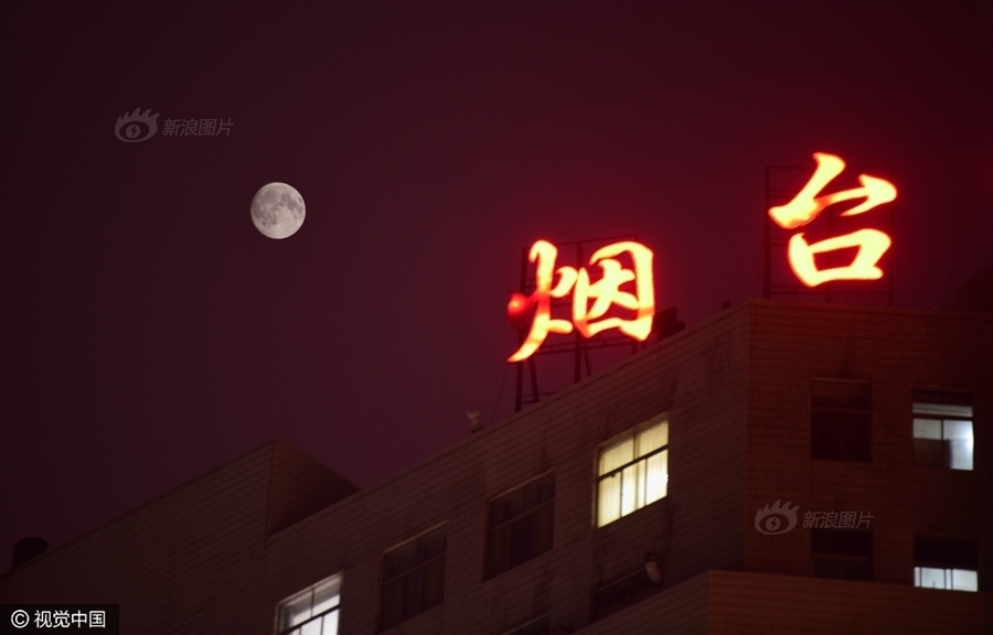 亚洲精品久久久久久