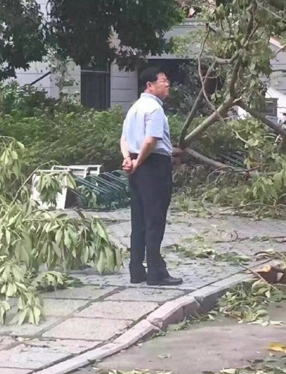 免费黄色网战