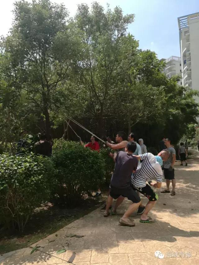 国产亚洲精品久久久999密壂最新版介绍