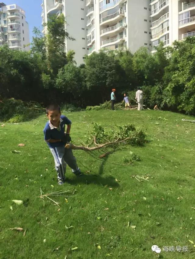 吸血鬼动漫