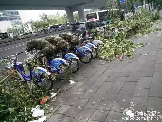 刘亦菲A一级毛片在线播放