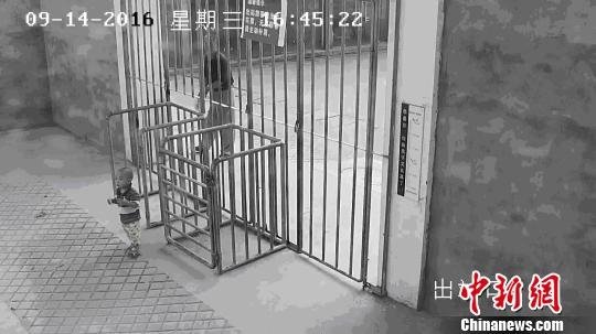生死格鬥動畫