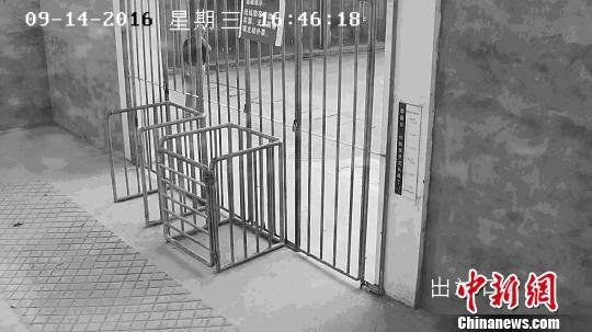 国产揄拍熟女视频
