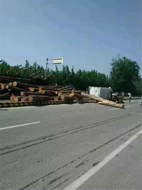 高清无码毛在线看