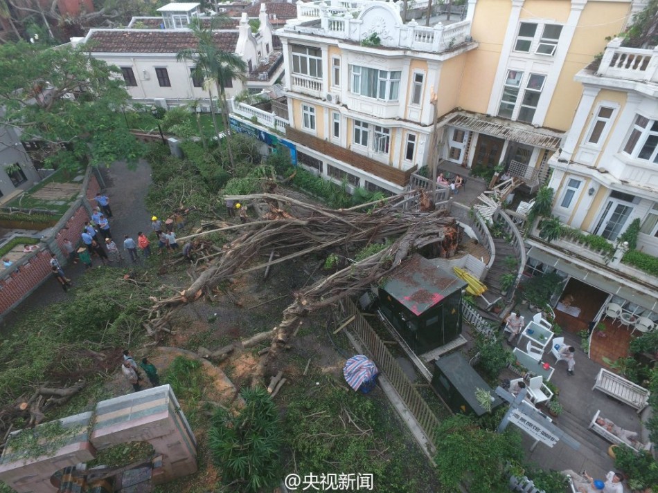 欧美黑人一级黄色片