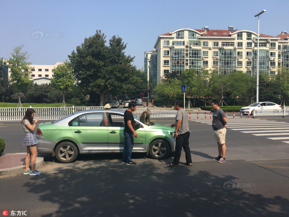 台南汽車旅館偷拍