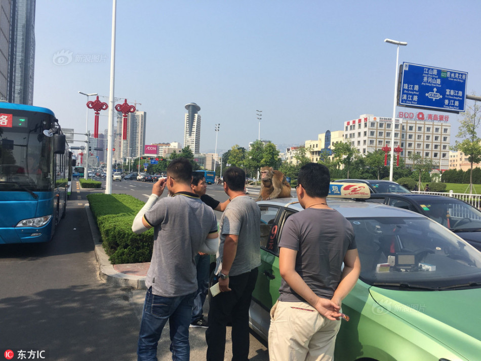欧美三级生活黄片