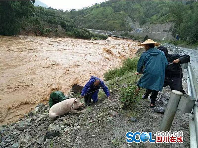 成人黄色免费网站