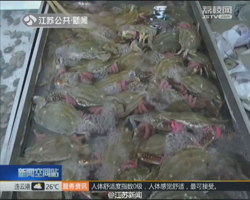 网站黄色片免费下载不要钱