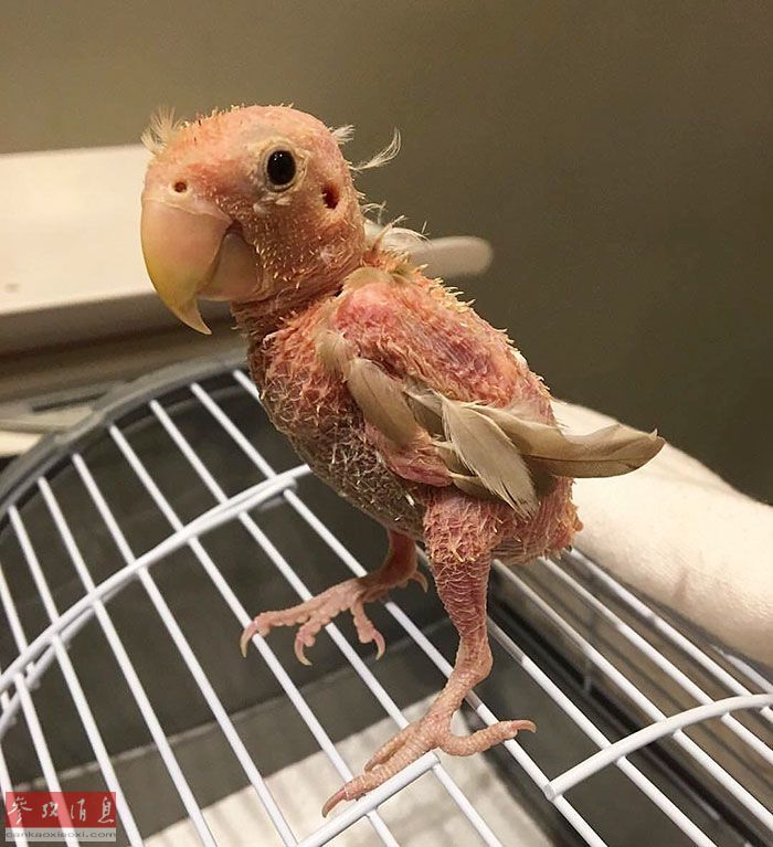 妈妈 电影 线 上 看