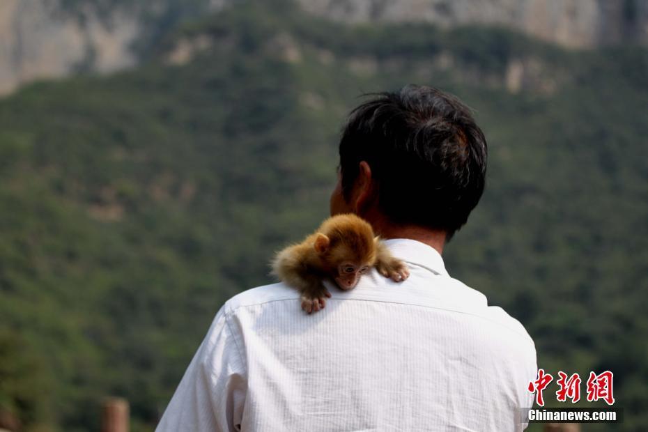 哈尔滨富婆spa高潮