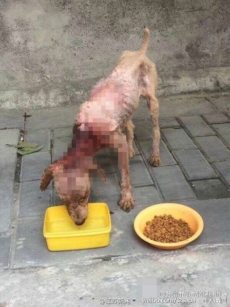 欧美农村肥胖熟妇性爱